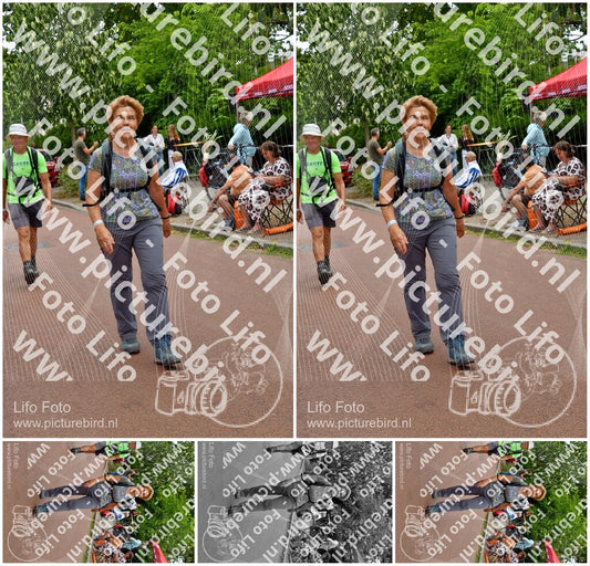 Evenement foto: Nijmeegse Vierdaagse 1167