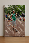 Evenement foto: Nijmeegse Vierdaagse 1167