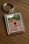 Evenement foto: Nijmeegse Vierdaagse 1166
