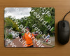 Evenement foto: Nijmeegse Vierdaagse 1166