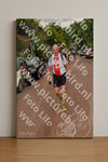 Evenement foto: Nijmeegse Vierdaagse 1166