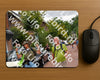 Evenement foto: Nijmeegse Vierdaagse 1166