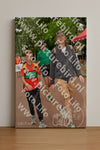 Evenement foto: Nijmeegse Vierdaagse 1166