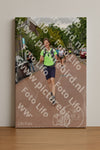 Evenement foto: Nijmeegse Vierdaagse 1166