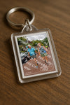 Evenement foto: Nijmeegse Vierdaagse 1166