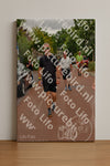 Evenement foto: Nijmeegse Vierdaagse 1166