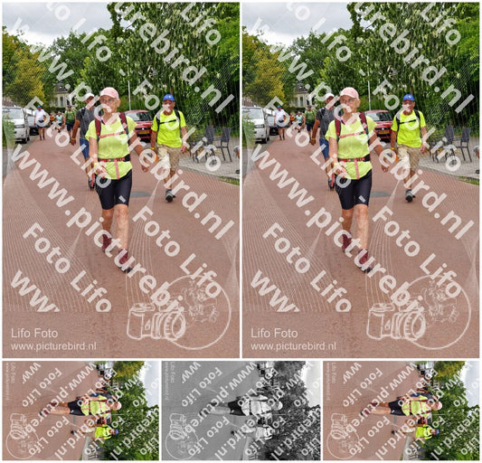 Evenement foto: Nijmeegse Vierdaagse 1166