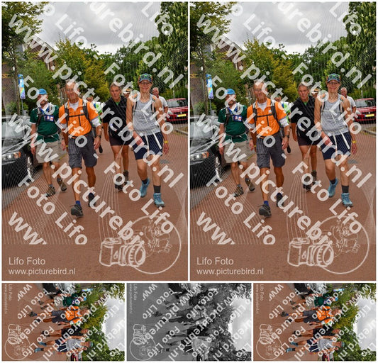 Evenement foto: Nijmeegse Vierdaagse 1166