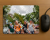 Evenement foto: Nijmeegse Vierdaagse 1166