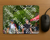Evenement foto: Nijmeegse Vierdaagse 1166