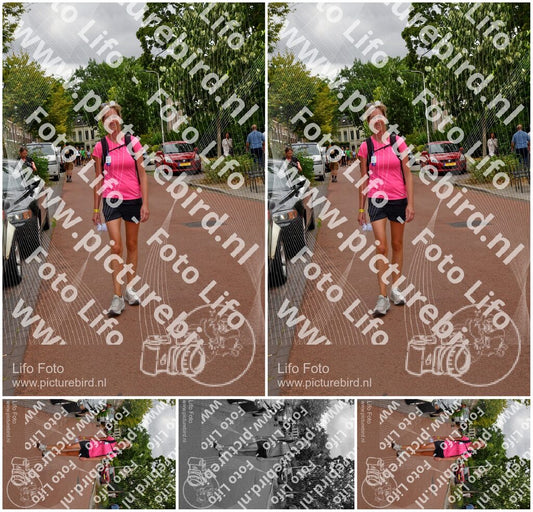 Evenement foto: Nijmeegse Vierdaagse 1166