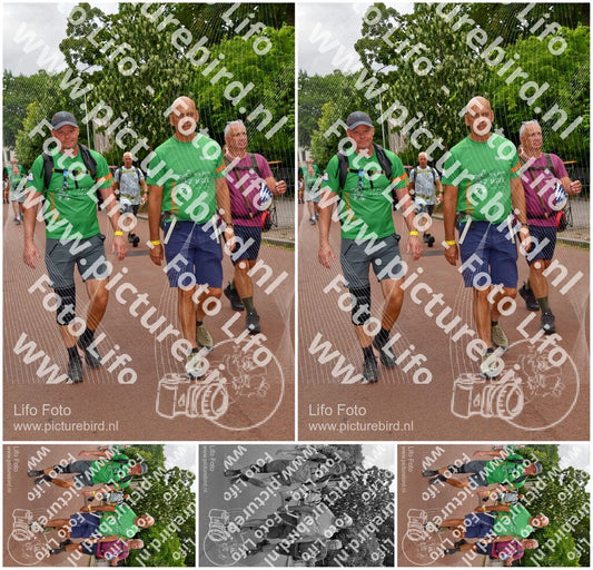 Evenement foto: Nijmeegse Vierdaagse 1166