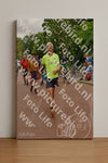 Evenement foto: Nijmeegse Vierdaagse 1166