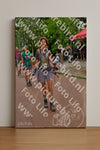 Evenement foto: Nijmeegse Vierdaagse 1166