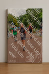 Evenement foto: Nijmeegse Vierdaagse 1166