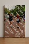 Evenement foto: Nijmeegse Vierdaagse 1166