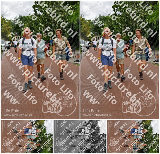 Evenement foto: Nijmeegse Vierdaagse 1166