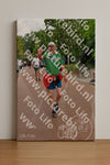 Evenement foto: Nijmeegse Vierdaagse 1166