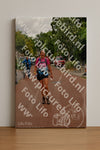 Evenement foto: Nijmeegse Vierdaagse 1166