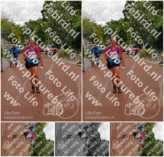 Evenement foto: Nijmeegse Vierdaagse 1166