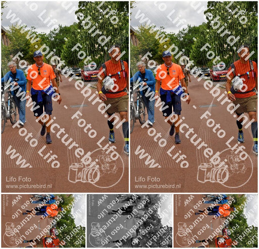 Evenement foto: Nijmeegse Vierdaagse 1166