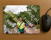 Evenement foto: Nijmeegse Vierdaagse 1166