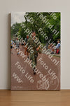 Evenement foto: Nijmeegse Vierdaagse 1166