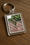 Evenement foto: Nijmeegse Vierdaagse 1166