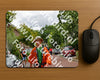 Evenement foto: Nijmeegse Vierdaagse 1166