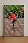 Evenement foto: Nijmeegse Vierdaagse 1166