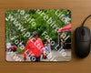Evenement foto: Nijmeegse Vierdaagse 1166