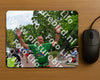 Evenement foto: Nijmeegse Vierdaagse 1166