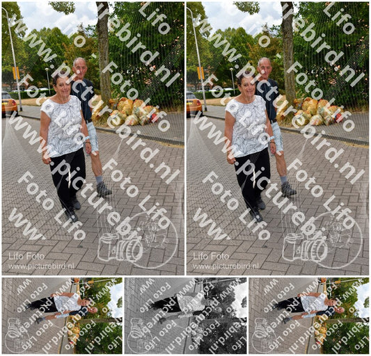 Evenement foto: Nijmeegse Vierdaagse 1165