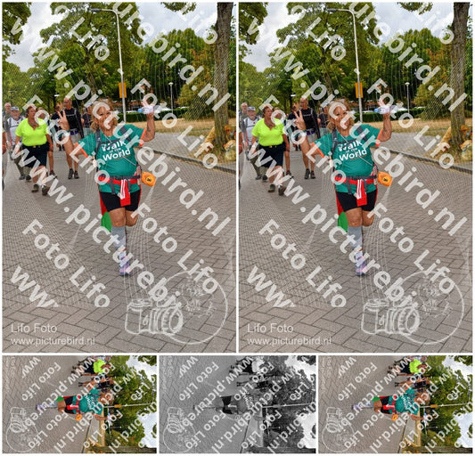 Evenement foto: Nijmeegse Vierdaagse 1165