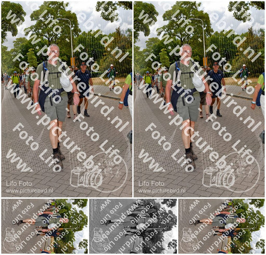 Evenement foto: Nijmeegse Vierdaagse 1165
