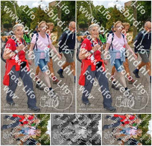Evenement foto: Nijmeegse Vierdaagse 1165