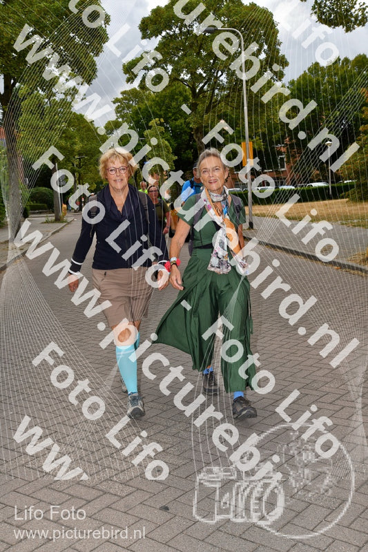 Evenement foto: Nijmeegse Vierdaagse 1165