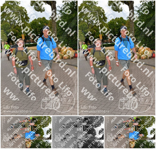 Evenement foto: Nijmeegse Vierdaagse 1165