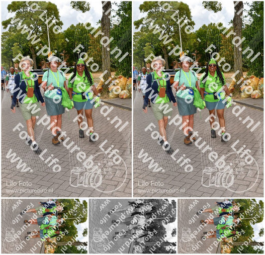 Evenement foto: Nijmeegse Vierdaagse 1165