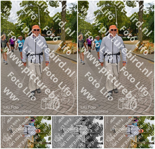 Evenement foto: Nijmeegse Vierdaagse 1165