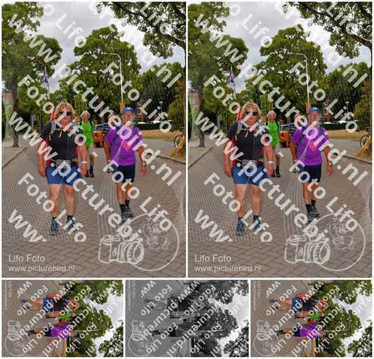 Evenement foto: Nijmeegse Vierdaagse 1165