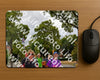 Evenement foto: Nijmeegse Vierdaagse 1165