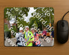 Evenement foto: Nijmeegse Vierdaagse 1165