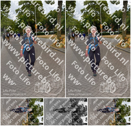 Evenement foto: Nijmeegse Vierdaagse 1165