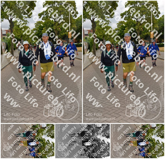 Evenement foto: Nijmeegse Vierdaagse 1165