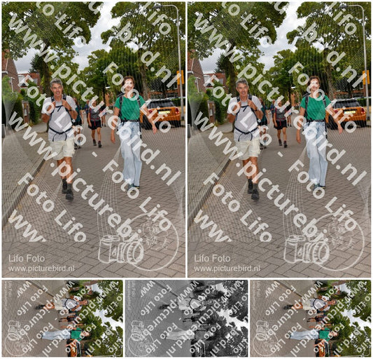 Evenement foto: Nijmeegse Vierdaagse 1165