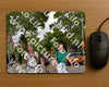 Evenement foto: Nijmeegse Vierdaagse 1165