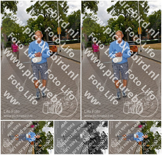 Evenement foto: Nijmeegse Vierdaagse 1165