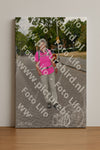 Evenement foto: Nijmeegse Vierdaagse 1165