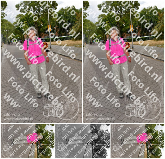 Evenement foto: Nijmeegse Vierdaagse 1165